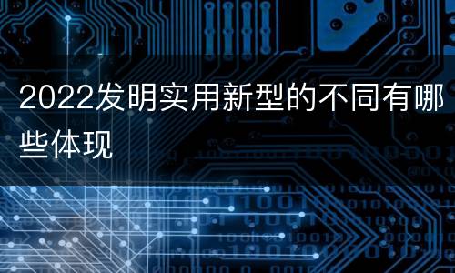 2022发明实用新型的不同有哪些体现