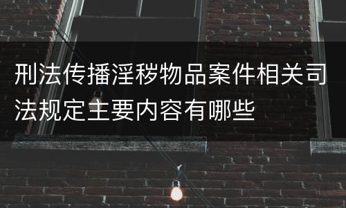 刑法传播淫秽物品案件相关司法规定主要内容有哪些