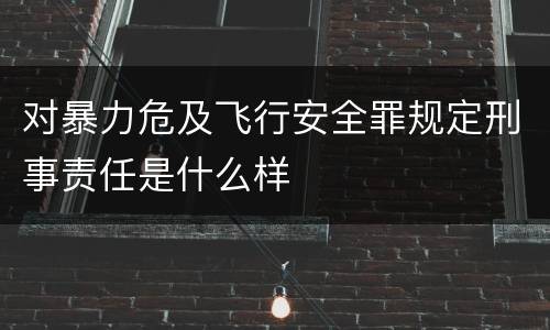 对暴力危及飞行安全罪规定刑事责任是什么样