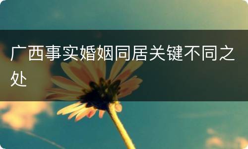 广西事实婚姻同居关键不同之处