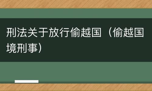 刑法关于放行偷越国（偷越国境刑事）