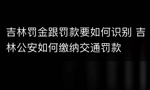 吉林罚金跟罚款要如何识别 吉林公安如何缴纳交通罚款