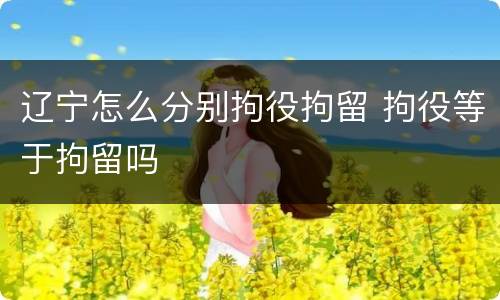 辽宁怎么分别拘役拘留 拘役等于拘留吗