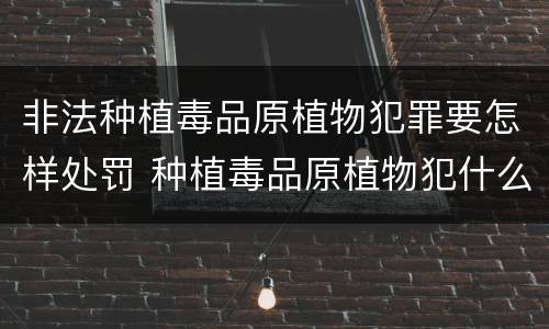 非法种植毒品原植物犯罪要怎样处罚 种植毒品原植物犯什么罪