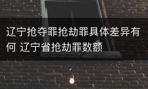 辽宁抢夺罪抢劫罪具体差异有何 辽宁省抢劫罪数额