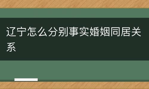辽宁怎么分别事实婚姻同居关系