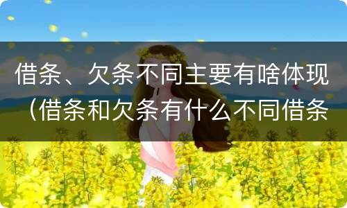 借条、欠条不同主要有啥体现（借条和欠条有什么不同借条书写）