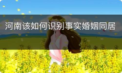 河南该如何识别事实婚姻同居