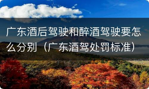 广东酒后驾驶和醉酒驾驶要怎么分别（广东酒驾处罚标准）