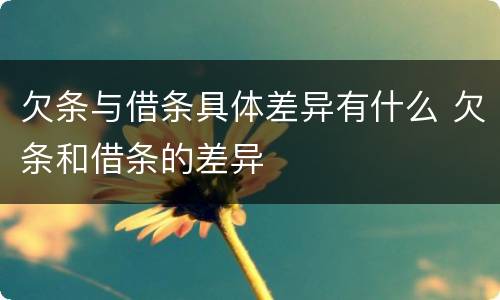 欠条与借条具体差异有什么 欠条和借条的差异
