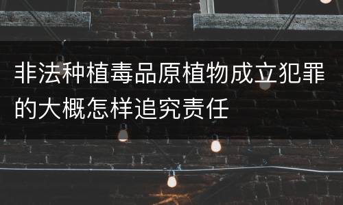 非法种植毒品原植物成立犯罪的大概怎样追究责任