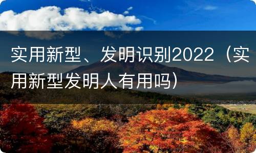 实用新型、发明识别2022（实用新型发明人有用吗）