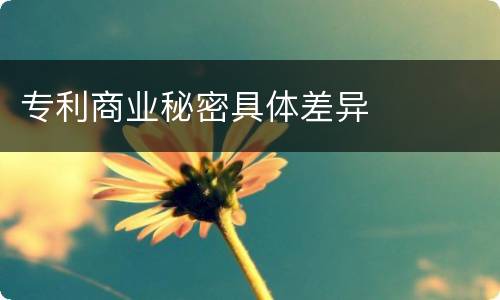 专利商业秘密具体差异