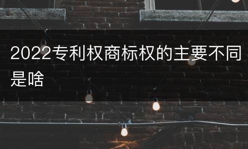 2022专利权商标权的主要不同是啥