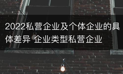 2022私营企业及个体企业的具体差异 企业类型私营企业