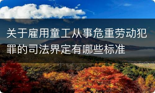 关于雇用童工从事危重劳动犯罪的司法界定有哪些标准