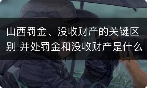 山西罚金、没收财产的关键区别 并处罚金和没收财产是什么意思