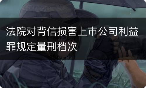 法院对背信损害上市公司利益罪规定量刑档次