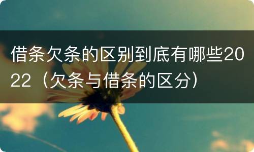 借条欠条的区别到底有哪些2022（欠条与借条的区分）