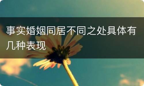 事实婚姻同居不同之处具体有几种表现
