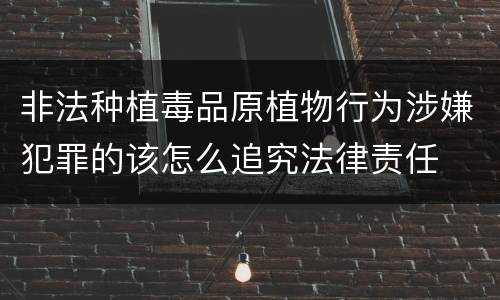 非法种植毒品原植物行为涉嫌犯罪的该怎么追究法律责任