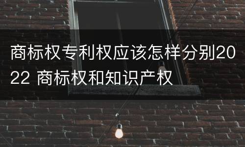 商标权专利权应该怎样分别2022 商标权和知识产权