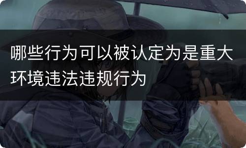 哪些行为可以被认定为是重大环境违法违规行为