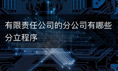有限责任公司的分公司有哪些分立程序