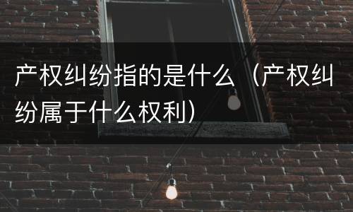 产权纠纷指的是什么（产权纠纷属于什么权利）
