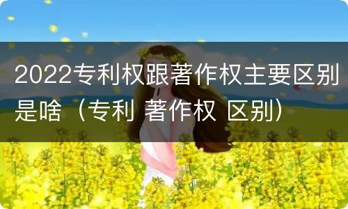 2022专利权跟著作权主要区别是啥（专利 著作权 区别）