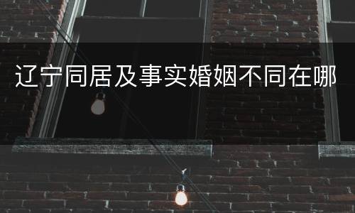 辽宁同居及事实婚姻不同在哪