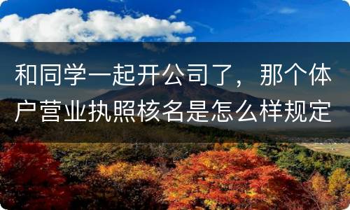 和同学一起开公司了，那个体户营业执照核名是怎么样规定的