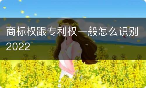 商标权跟专利权一般怎么识别2022