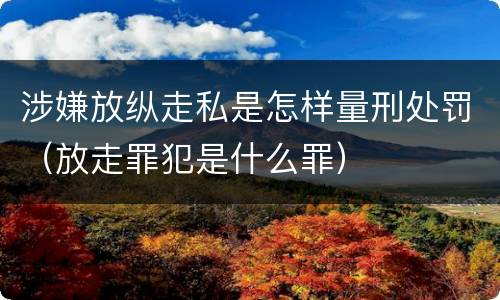 涉嫌放纵走私是怎样量刑处罚（放走罪犯是什么罪）