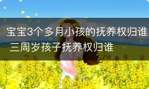 宝宝3个多月小孩的抚养权归谁 三周岁孩子抚养权归谁