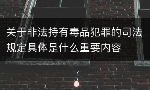 关于非法持有毒品犯罪的司法规定具体是什么重要内容