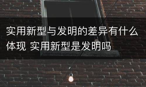 实用新型与发明的差异有什么体现 实用新型是发明吗
