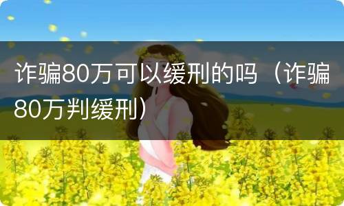诈骗80万可以缓刑的吗（诈骗80万判缓刑）