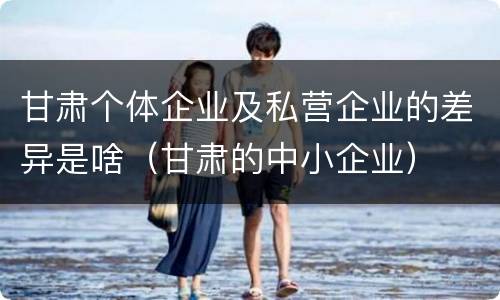 甘肃个体企业及私营企业的差异是啥（甘肃的中小企业）