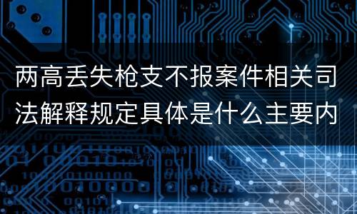 两高丢失枪支不报案件相关司法解释规定具体是什么主要内容