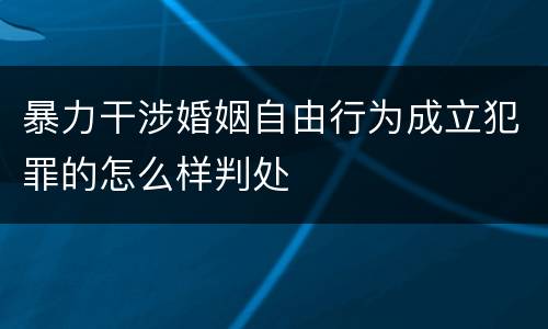 暴力干涉婚姻自由行为成立犯罪的怎么样判处