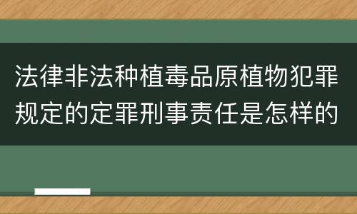 法律非法种植毒品原植物犯罪规定的定罪刑事责任是怎样的