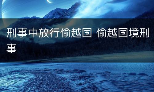 刑事中放行偷越国 偷越国境刑事