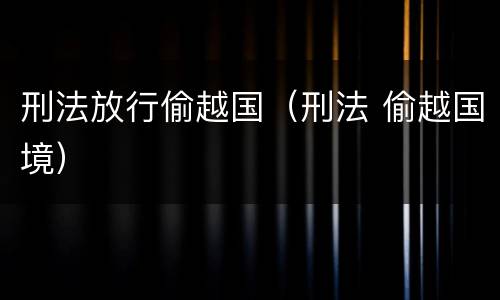 刑法放行偷越国（刑法 偷越国境）