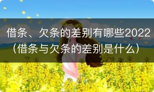借条、欠条的差别有哪些2022（借条与欠条的差别是什么）