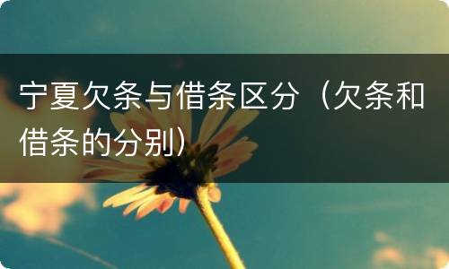 宁夏欠条与借条区分（欠条和借条的分别）