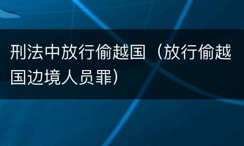 刑法中放行偷越国（放行偷越国边境人员罪）