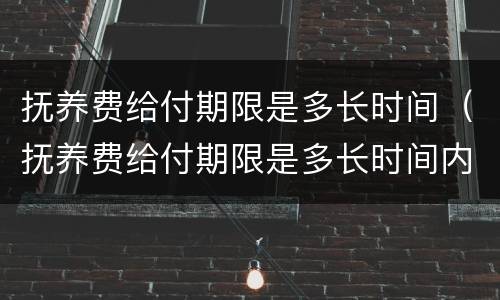 抚养费给付期限是多长时间（抚养费给付期限是多长时间内）