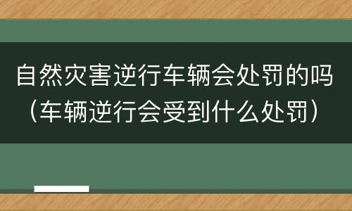 自然灾害逆行车辆会处罚的吗（车辆逆行会受到什么处罚）