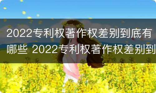 2022专利权著作权差别到底有哪些 2022专利权著作权差别到底有哪些呢